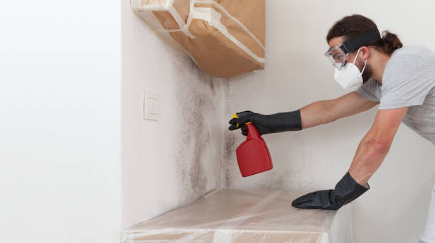 Professional Hvac And Air Duct Mold Remediation technician working in South Mills, NC